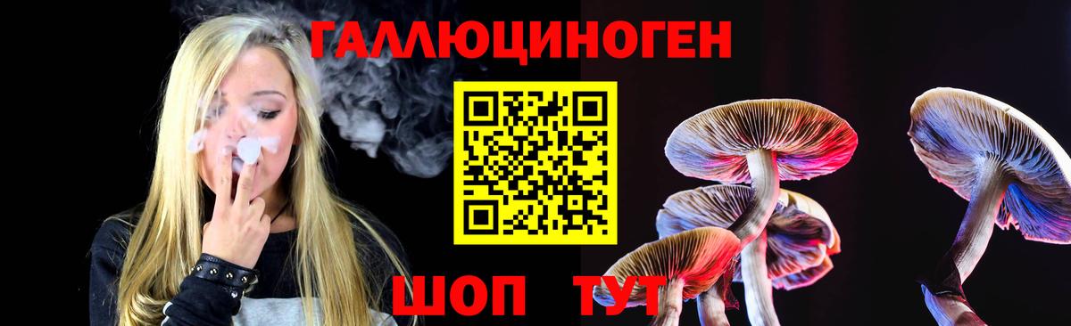 Псилоцибиновые грибы Psilocybe Вышний Волочёк