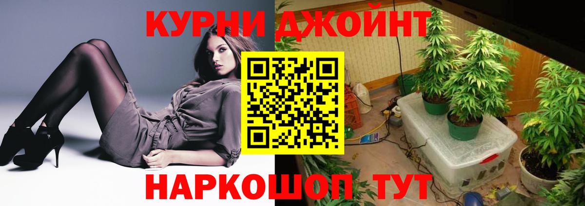 Бошки марихуана Ganja Вышний Волочёк